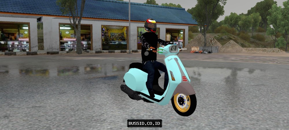Vespa Metic Modif