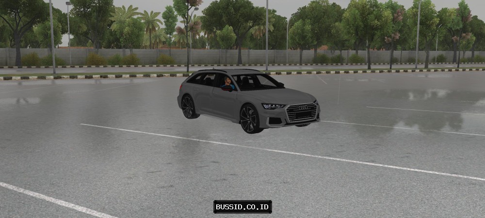 Audi A6 Touring